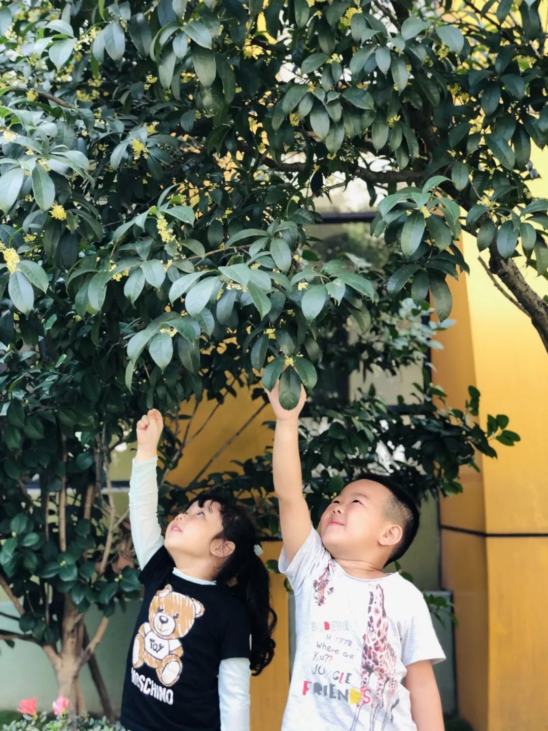 滨江多思创新学校,滨江学校全部排名