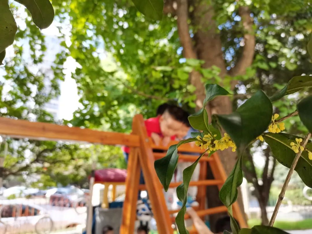 滨江多思创新学校,滨江学校全部排名