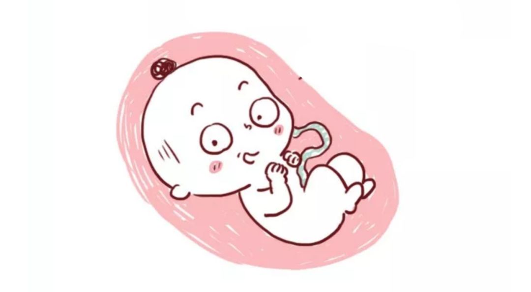 关于羊水的正确描述是什么,关于羊水的问题有哪些