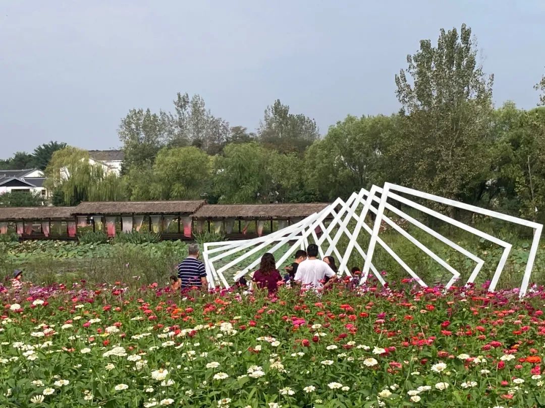 存款超200万家庭,八天突破100万粉丝