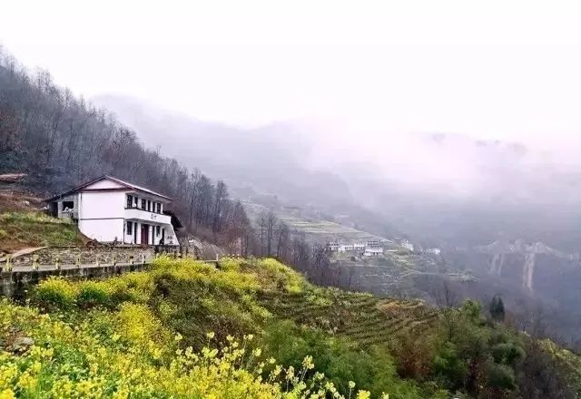 武都旅游景点大全,武都旅游线路