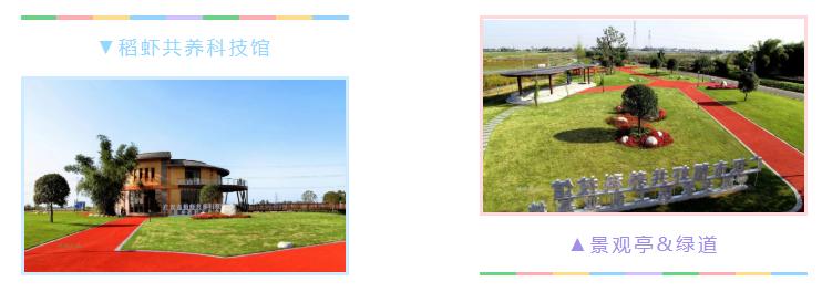 广汉有什么好吃又实惠,广汉有什么推荐的吃的