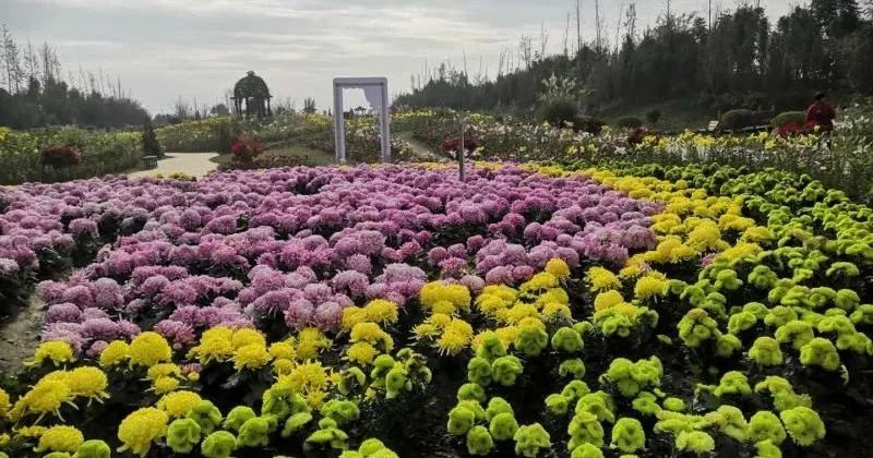 广汉有什么好吃又实惠,广汉有什么推荐的吃的