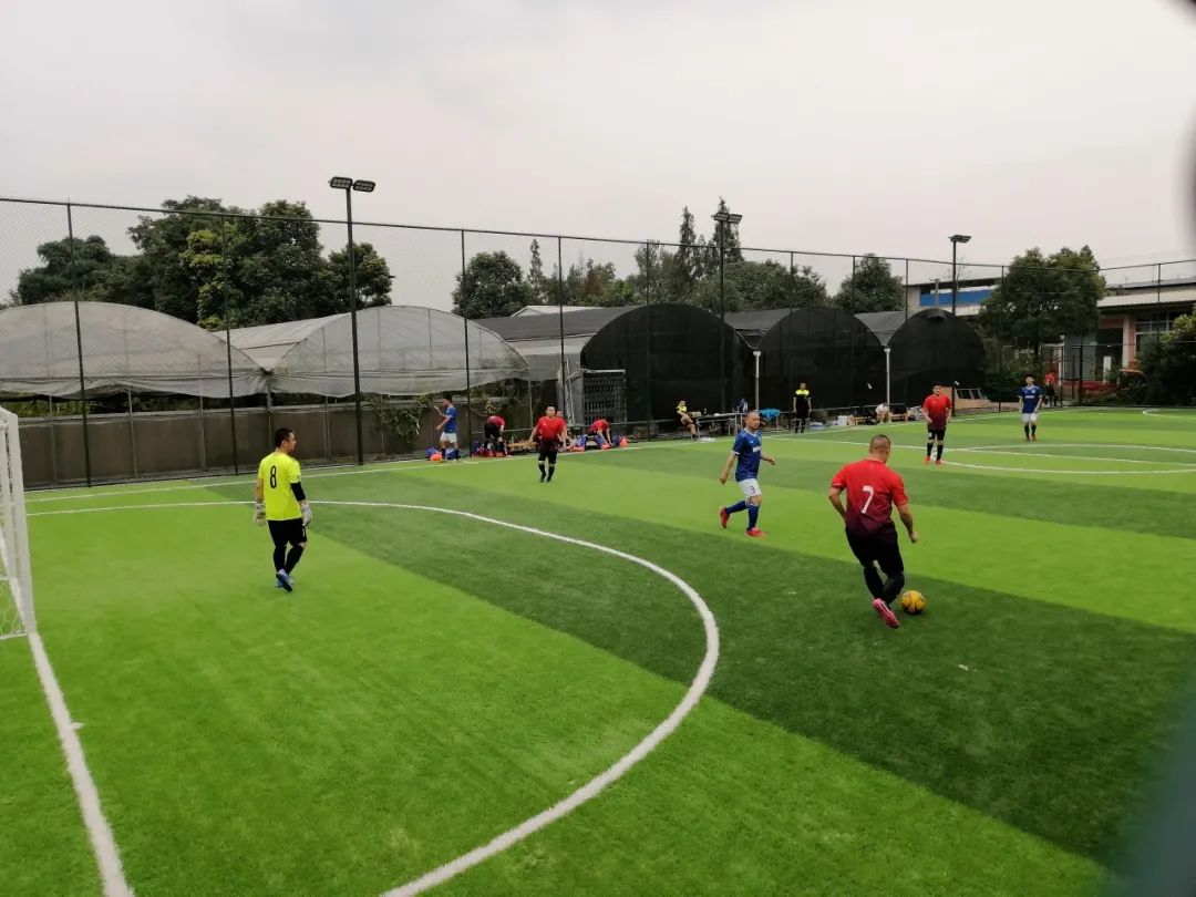 青白江美景,青白江风景美景