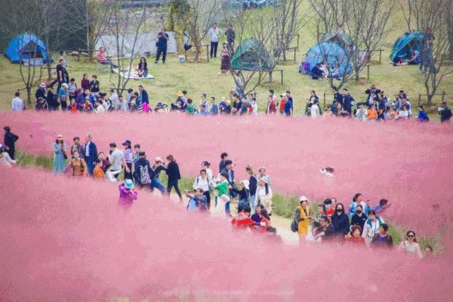 存款超200万家庭,八天突破100万粉丝