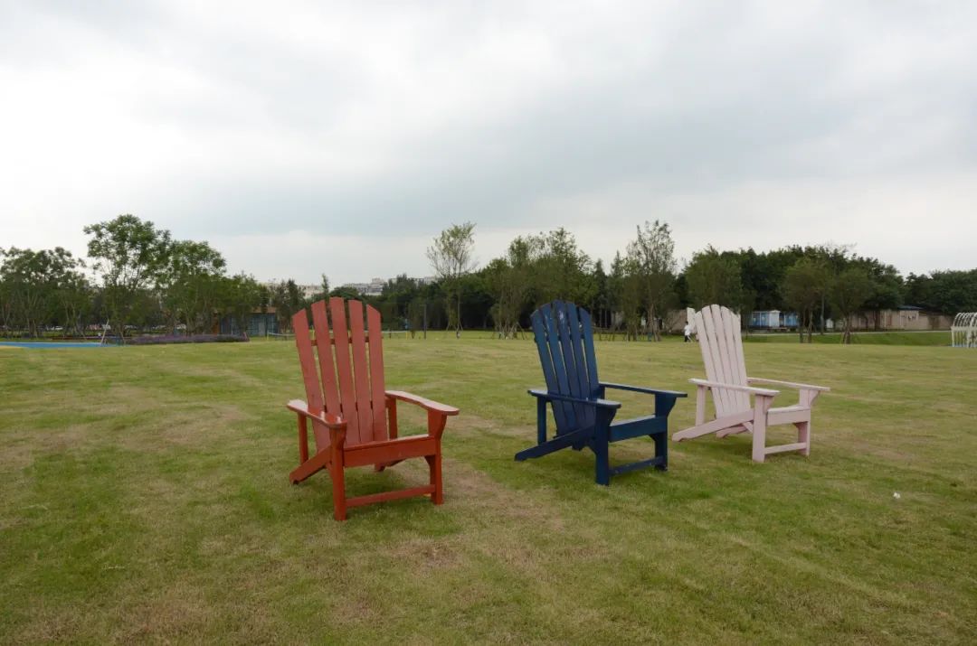 双流运动公园网红,双流运动公园网红打卡地