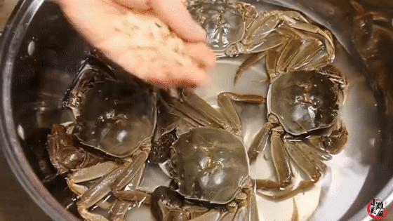 保存螃蟹不要直接放冰箱,螃蟹怎么放保存时间能长一点