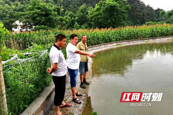 记者探访脱贫路|新宁永安村：不忘初心抓*党**建，勤勉务实为脱贫