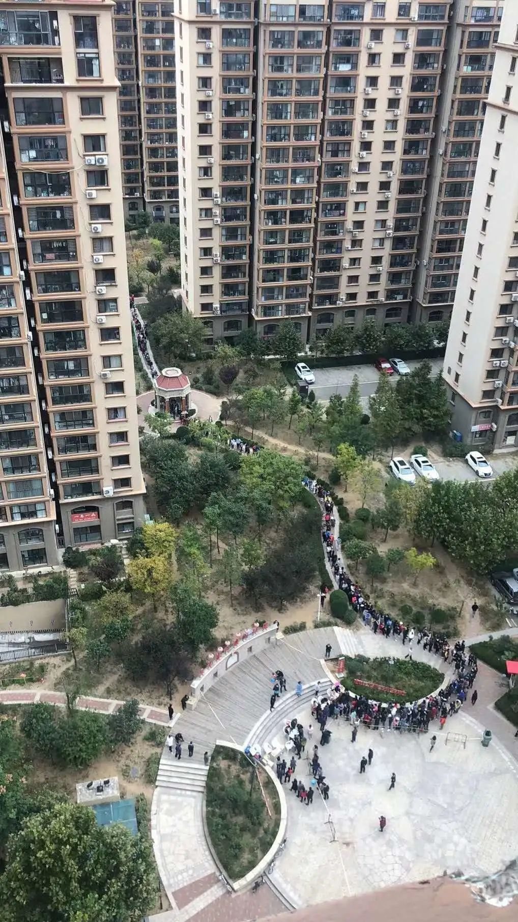 青岛赢了,青岛赢辽宁