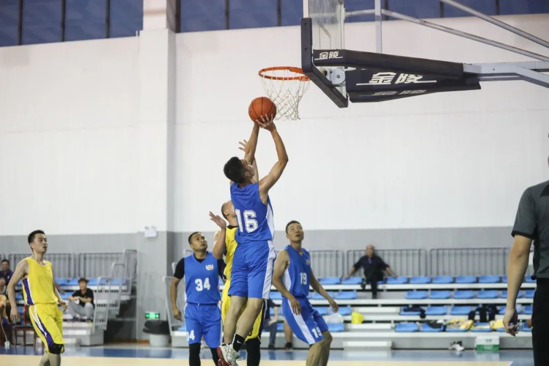 篮球有关的美文,有关篮球与青春的诗