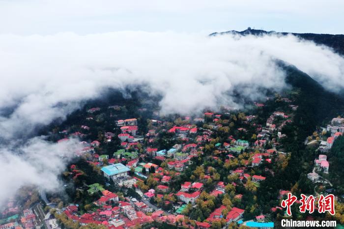 庐山云雾缭绕美不胜收,绝美江西庐山现壮阔云瀑景观