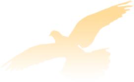 广东知识产权律师咨询,广东知识产权律师事务所