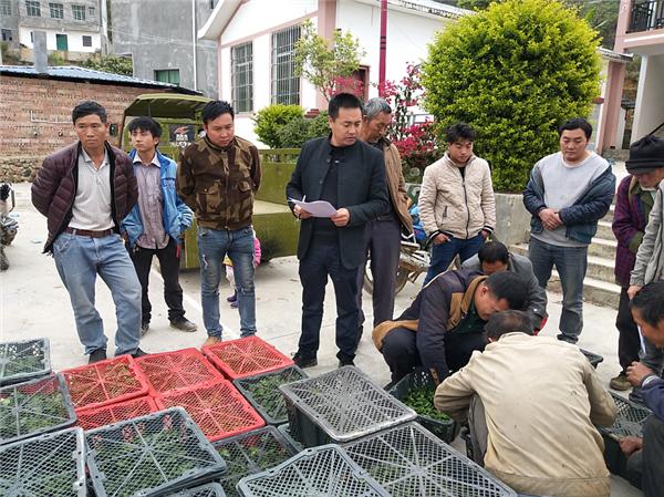 好故事指引成功之路的例子,好故事分享及感悟