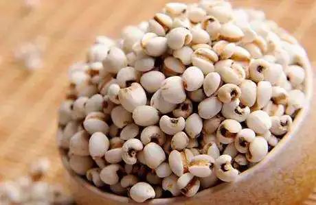 痛风一日三餐食疗方,尿酸高痛风的食疗方