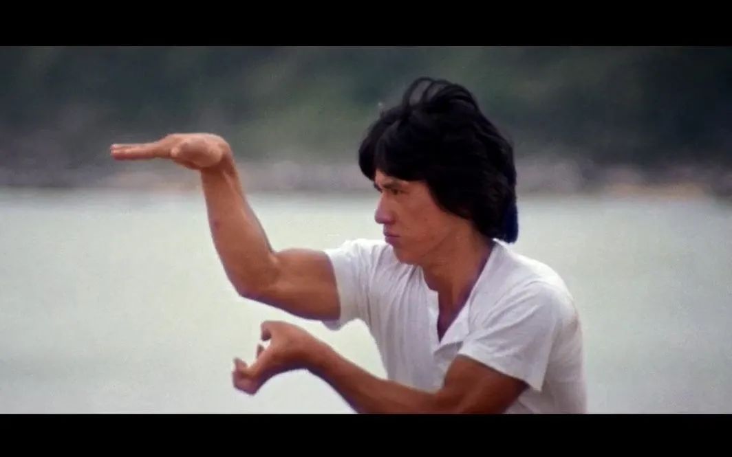 成龙大哥功夫题材,成龙大哥真的是能文能武样样精通