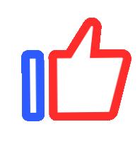 第28届市长杯足球联赛小学,第三届市长杯青少年足球比赛