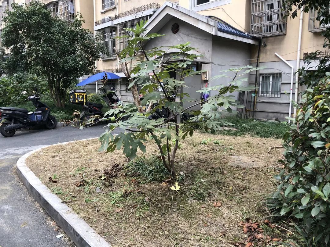 曝光台不文明行为煞了风景,曝光台不文明行为实拍曝光