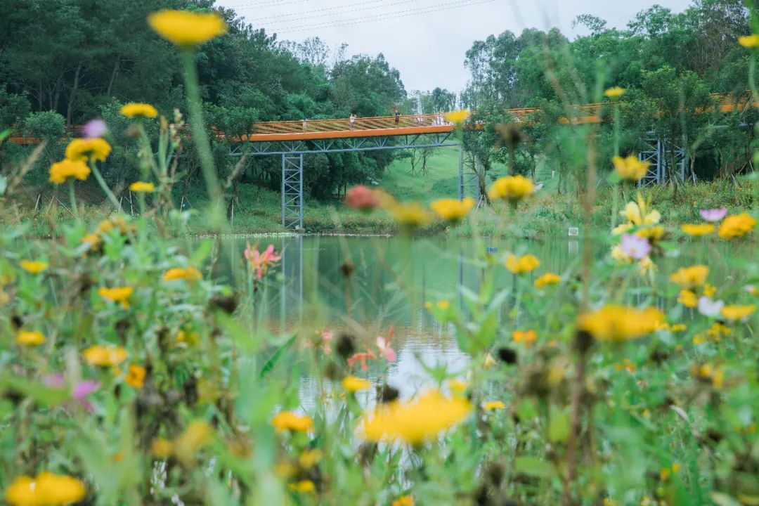 成都100种美景图片,航拍中国成都十大风景区