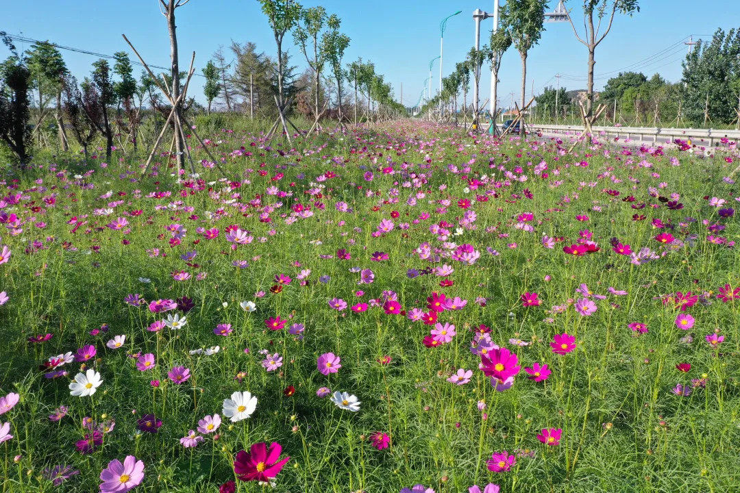 描绘乡村美丽新画卷,描绘中国美丽新画卷