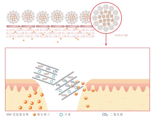 李佳琦赞不绝口的全能乳膏，一年卖出600万瓶，秋冬有它，皮肤再也不干燥