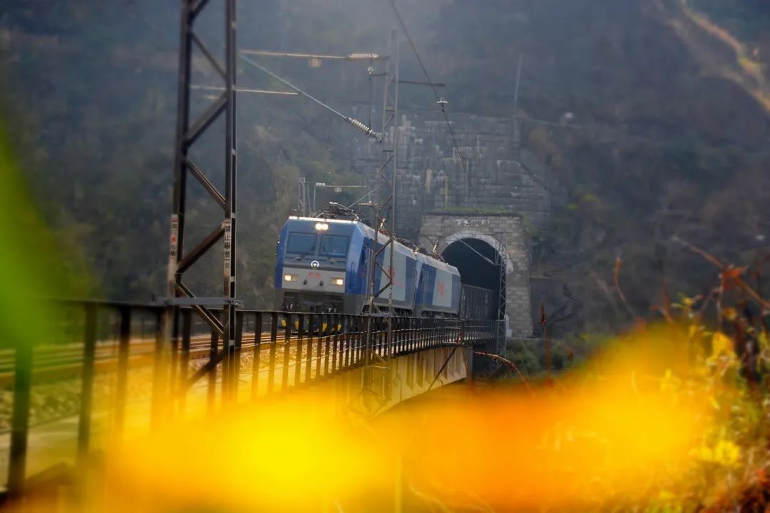 涨姿势你不知道的冷知识,冷门特种作业工种有哪些