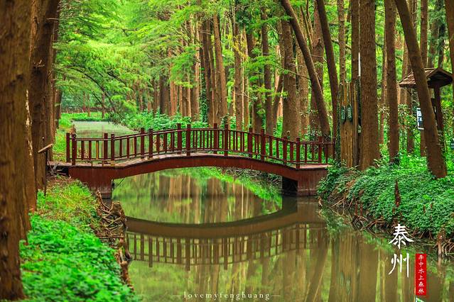泰州水城有什么好玩,水城泰州