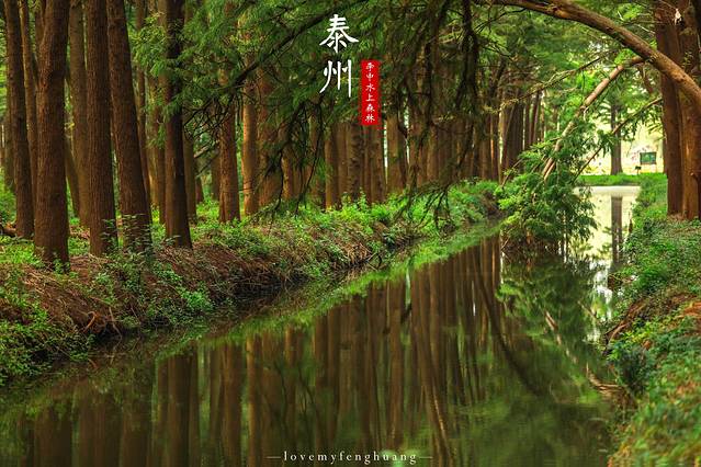 泰州水城有什么好玩,水城泰州