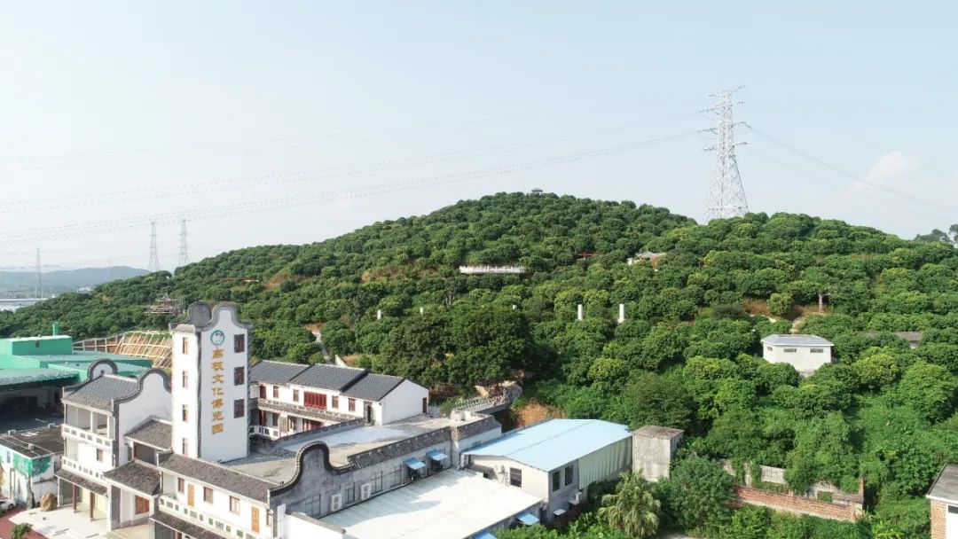 花莞高速最新路线规划,花莞沿高速旅游攻略