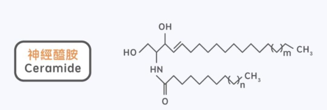 南方协和身体乳推荐,老牌国货身体乳协和