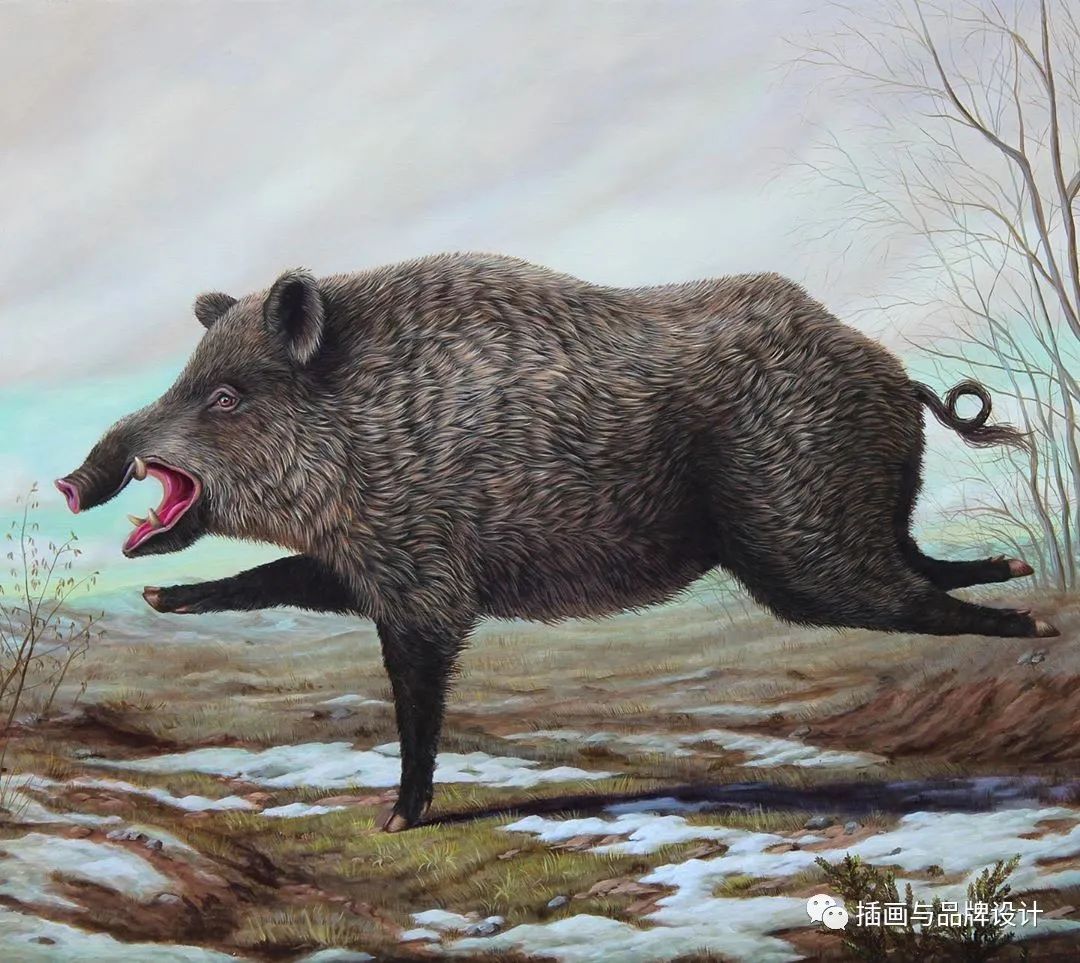 荒诞极端插画,荒诞主义插画