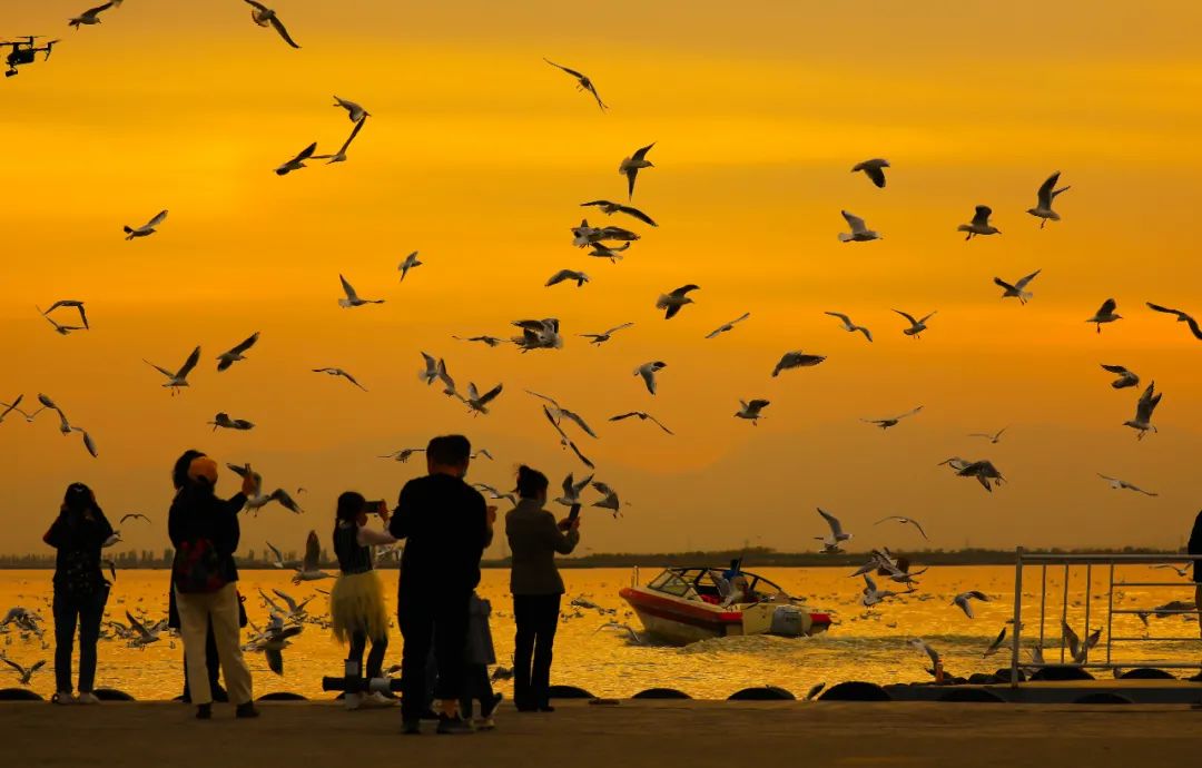 宁夏适合3-4月份旅游,宁夏的秋天