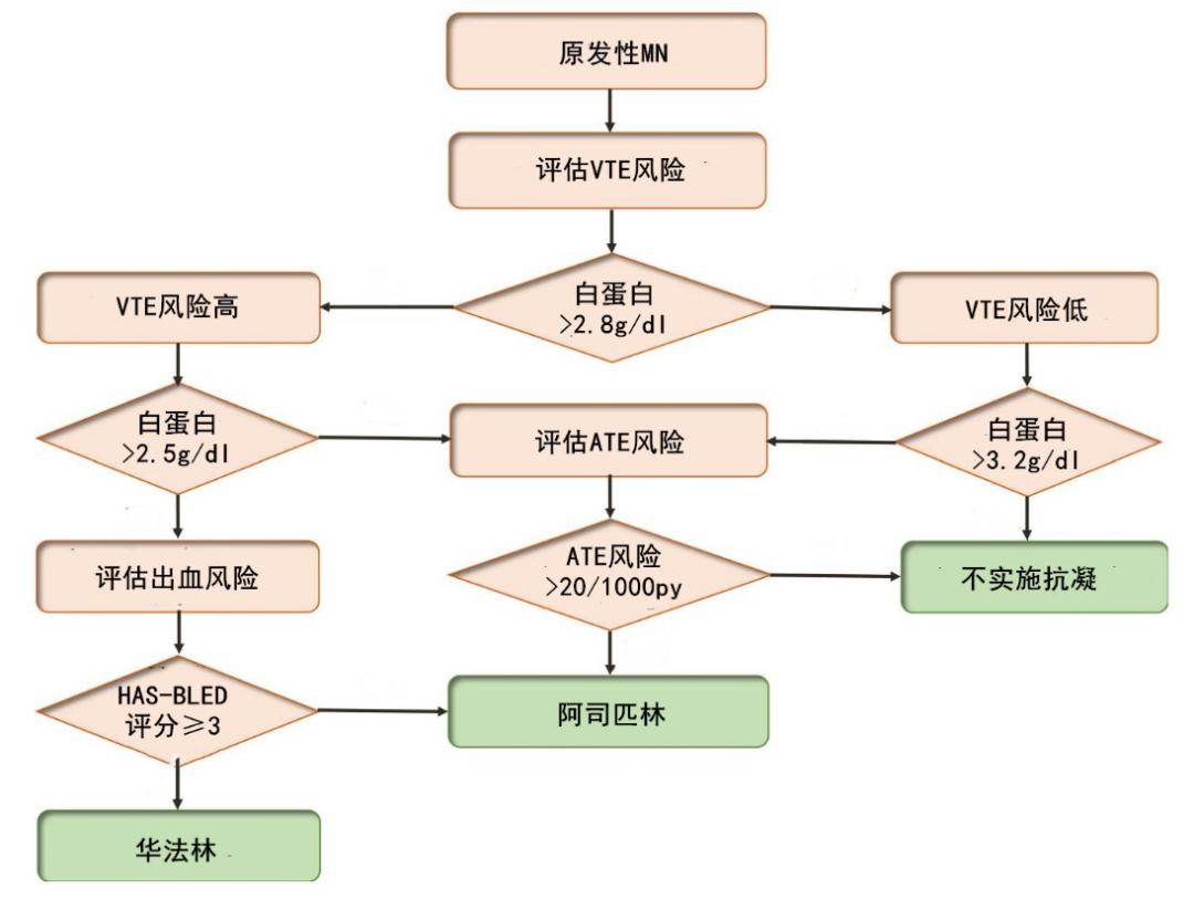 4张流程图，带你掌握膜性肾病患者的抗凝管理