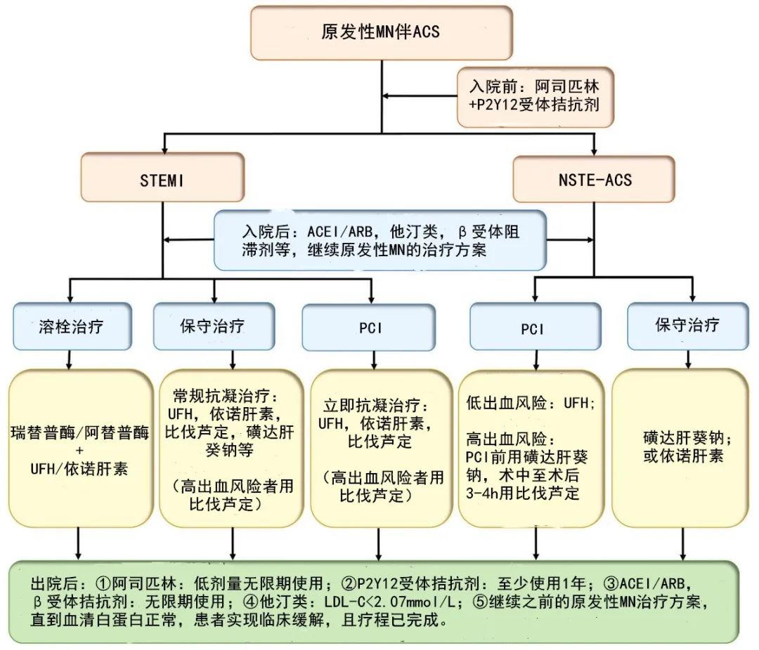 4张流程图，带你掌握膜性肾病患者的抗凝管理