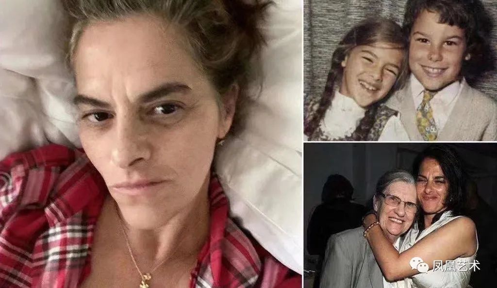 凤凰艺术直播录像,凤凰艺术展览视频