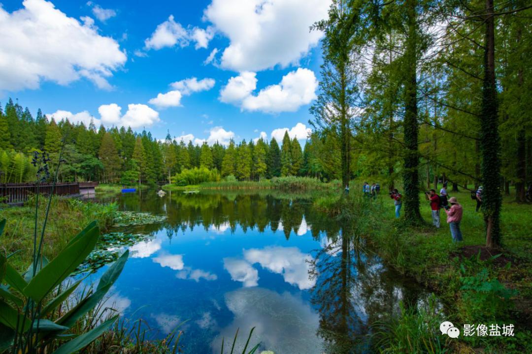 盐城发色,盐城代表颜色