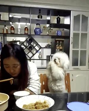 网络女主播被阴婚,被阴婚的女主播