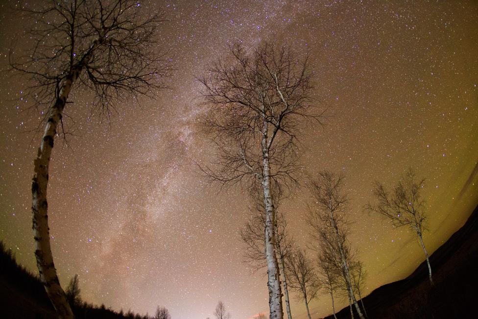 加格达奇映山红滑雪场今年开的吗,黑龙江加格达奇市映山红滑雪场