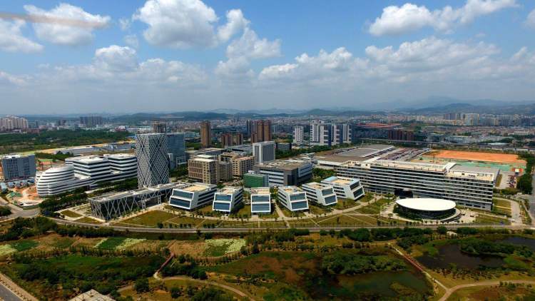 医学专家张文宏演讲,张文宏医生央视直播