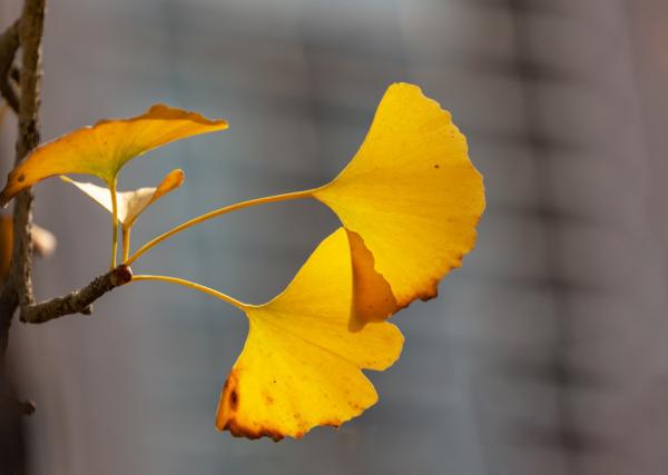 来吧！带你畅游这诗意工贸|文末有重磅福利