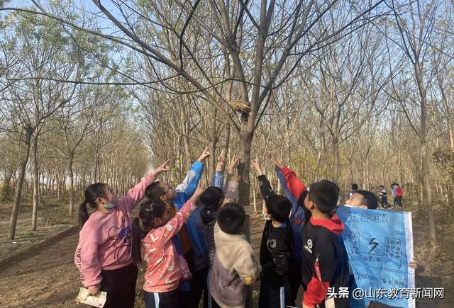 山东省小学综合实践活动培训,小学综合实践活动课堂