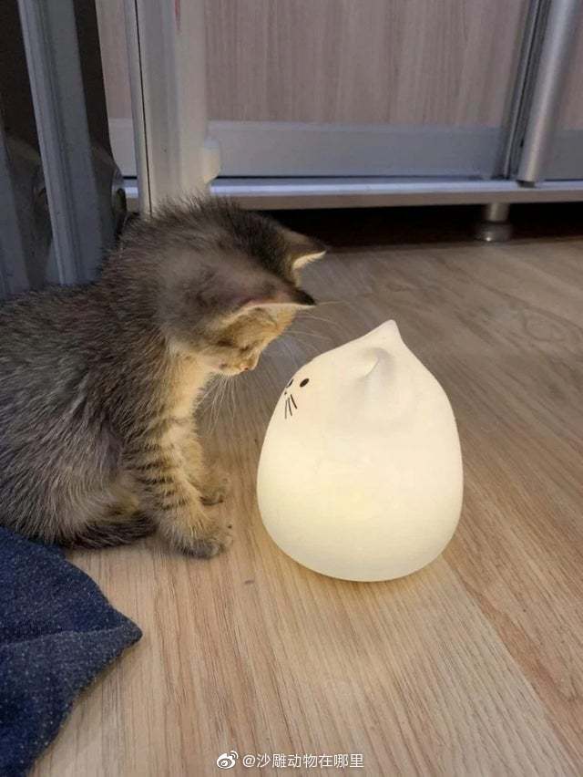 刘昊然在保温杯上班,刘昊然带保温杯上班