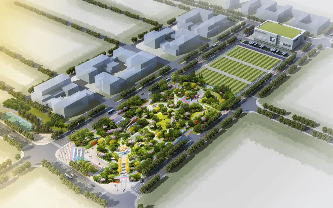 蜀山区足球场,蜀山体育公园周边规划