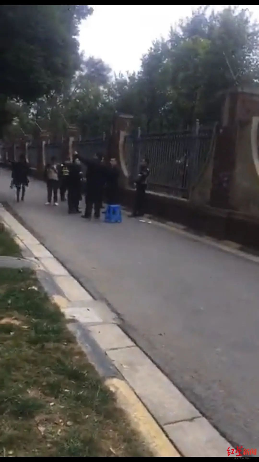 成都一小区内天降乌龟，路过女子被砸得头破血流