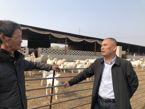 脱贫致富群,致富群