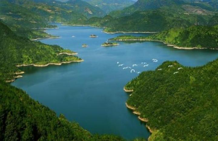 泰顺廊桥氡泉,浙江泰顺廊桥氡泉景区