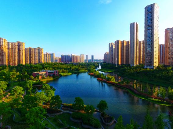 闀挎矙鐗圭,闀挎矙鐗圭閫夐