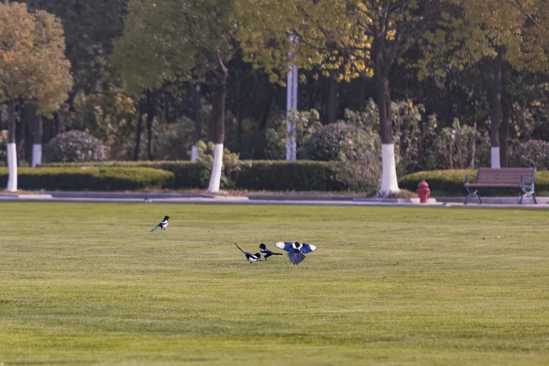 清北现在的情况,清北最新消息