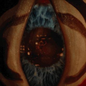 郭敬明晴雅集和侍神令,晴雅集和侍魂令哪个更接近阴阳师