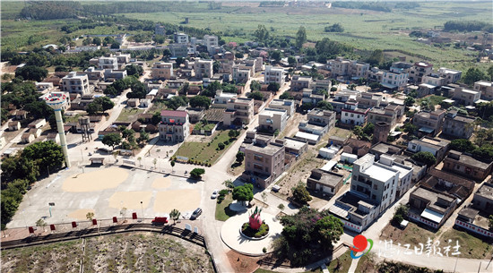 聚“红”聚“绿”共建共享魅力杨柑