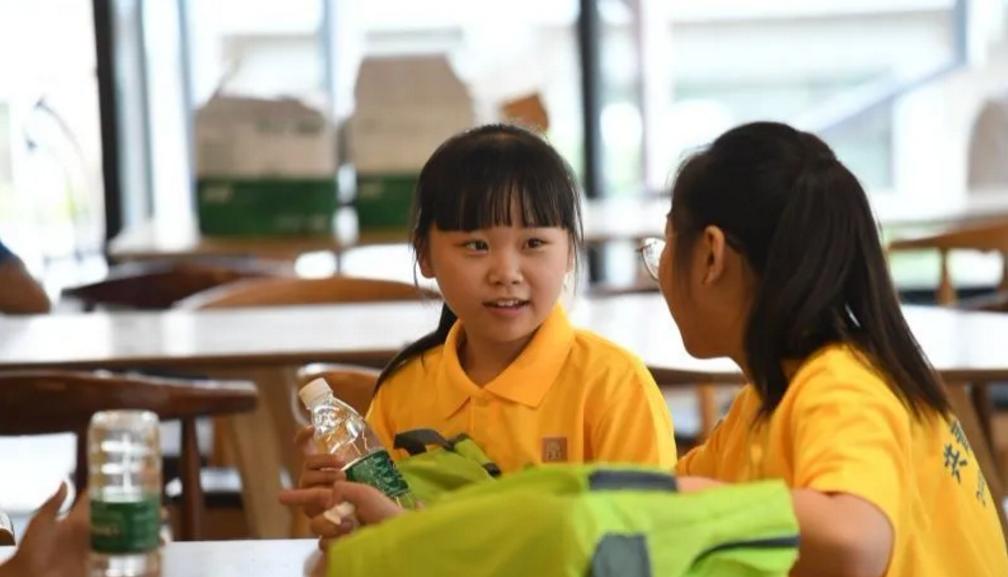 少先队三优秀是哪三优,四川省2020优秀少先队员评选表格